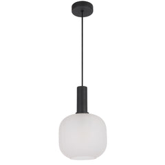 TFS 20CM PENDANT 25wE27max D200 H290 cab 2m BLACK / FROST GLASS