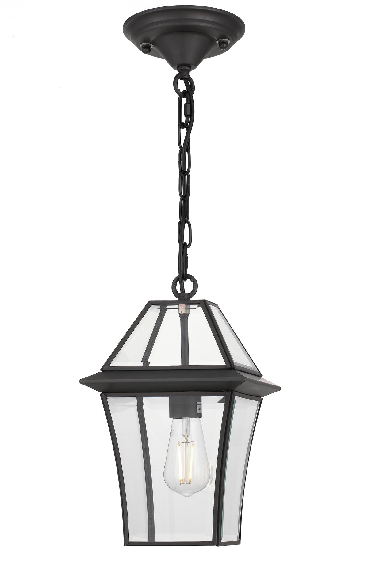 TFS 20 PENDANT 25wE27max L:210 H:300 - IP43 BLACK/CLEAR ROD:290mm + CHAIN:1000