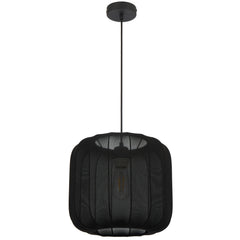 TFS 30 PENDANT 25wE27max D300 H275 cab 2m BLACK