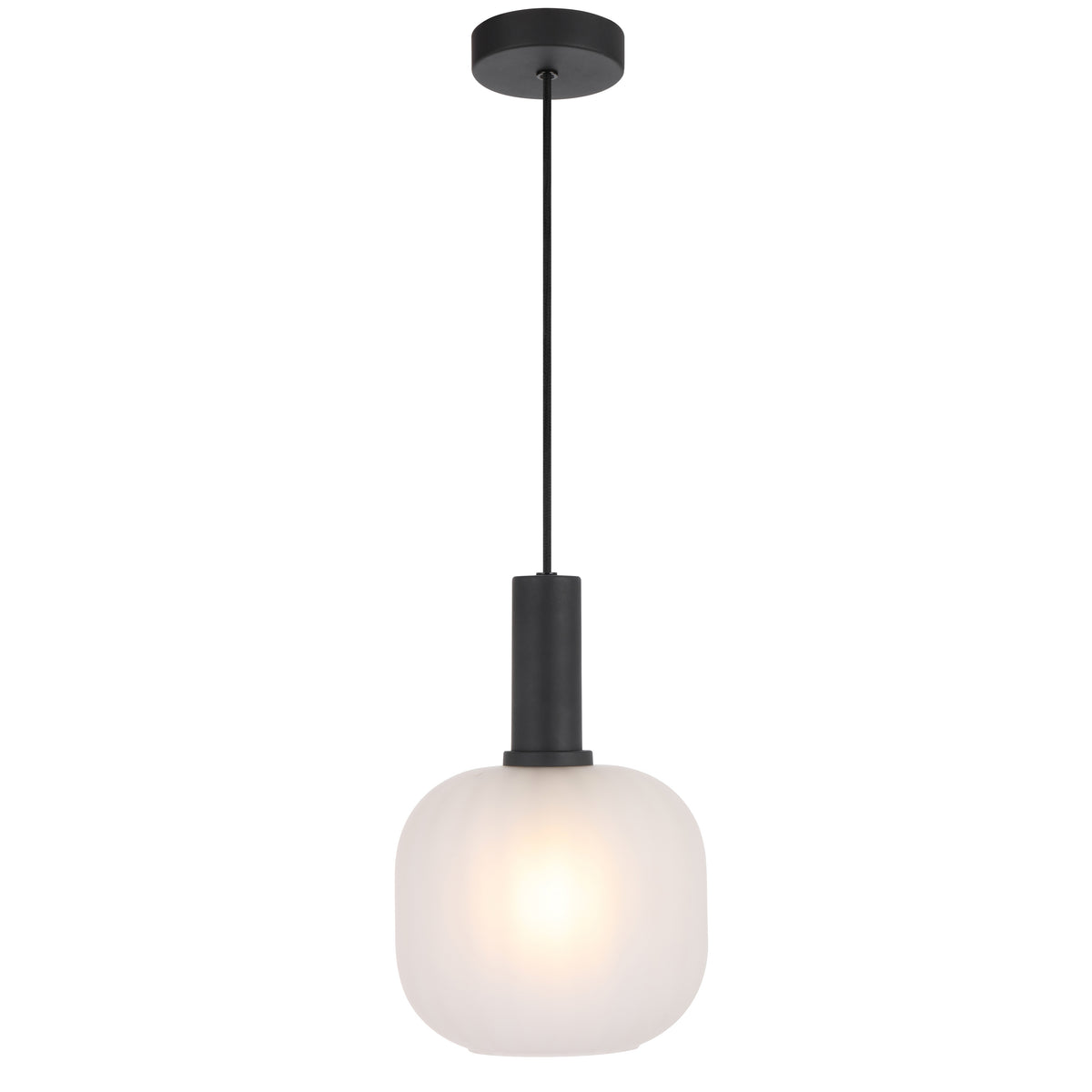 TFS 20CM PENDANT 25wE27max D200 H290 cab 2m BLACK / FROST GLASS