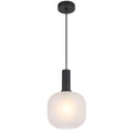 TFS 20CM PENDANT 25wE27max D200 H290 cab 2m BLACK / FROST GLASS