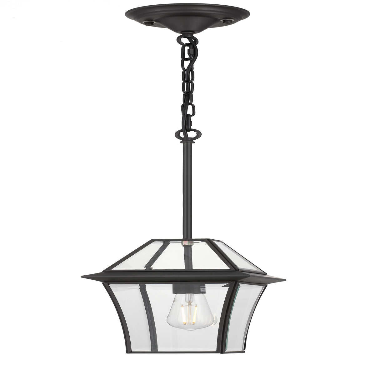 RYE PE20-BRS Brass & Clear Glass Pendant Light