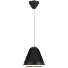 TFS 22CM PENDANT 25wE27max D220 H195 CAB 2M BLACK SATIN