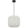 TFS 30 PENDANT 25wE27max D300 H275 cab 2m WHITE