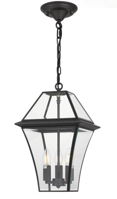 TFS 27 PENDANT 25wE14max L:275 H:400 - IP43 BLACK/CLEAR ROD:300mm + CHAIN:1000