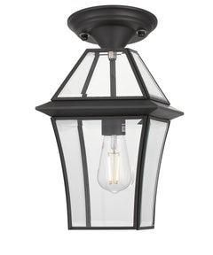 TFS 20 PENDANT 25wE27max L:210 H:300 - IP43 BLACK/CLEAR ROD:290mm + CHAIN:1000