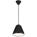 TFS 22CM PENDANT 25wE27max D220 H195 CAB 2M BLACK SATIN