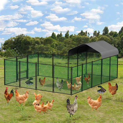 Large Chicken Coop Walk-In Cage Australia