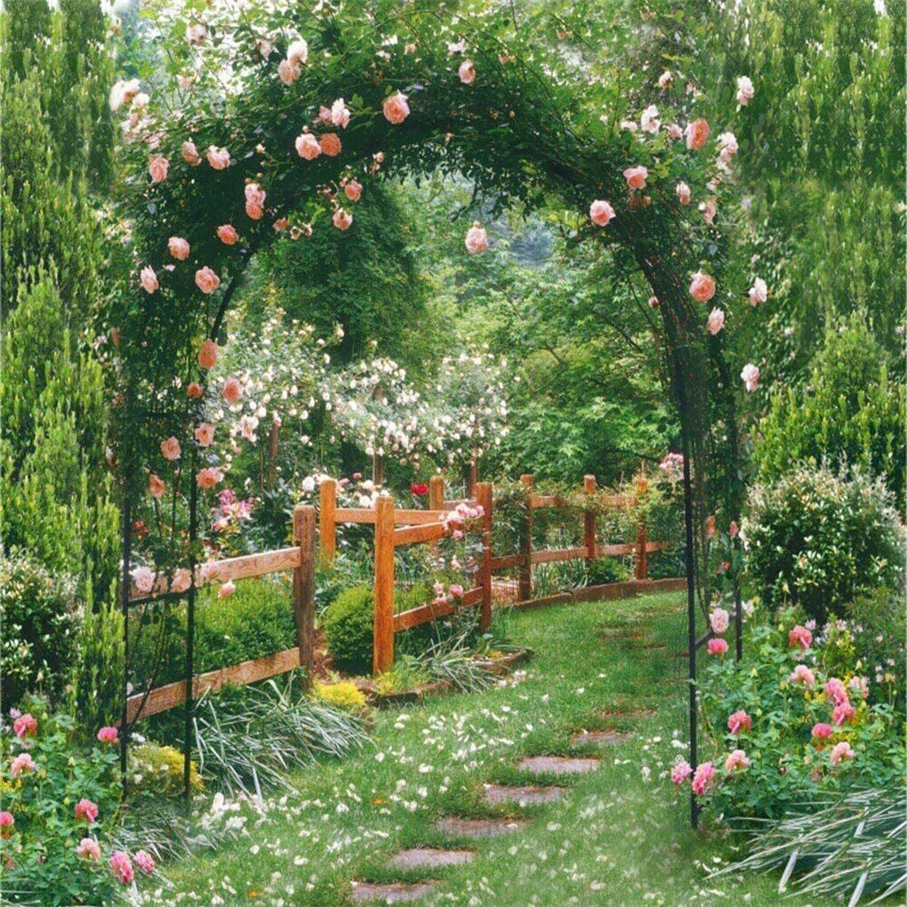 P&P Rustproof Metal Garden Arch â€“ Ideal for Australian Gardens