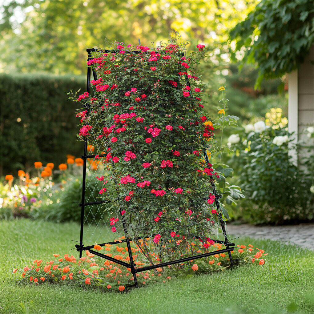 Black iron A-frame trellis viewed from the side