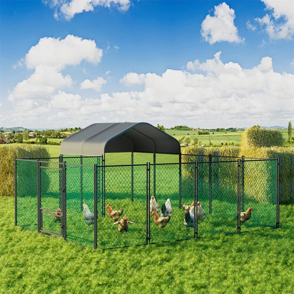 Large Walk-In Chicken Coop Cage Australia