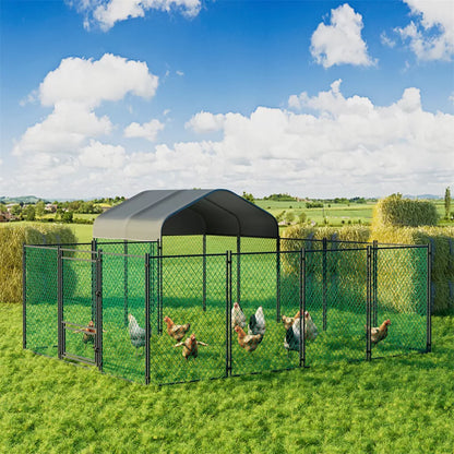 Large Walk-In Chicken Coop Cage Australia