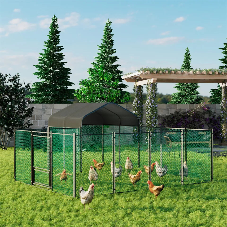Metal Walk-In Chicken Coop Australia