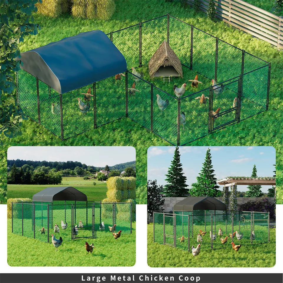 XL Walk-In Chicken Cage Australia