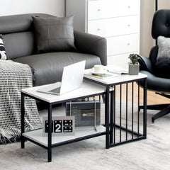 Modern Coffee Table Duo with Storage
