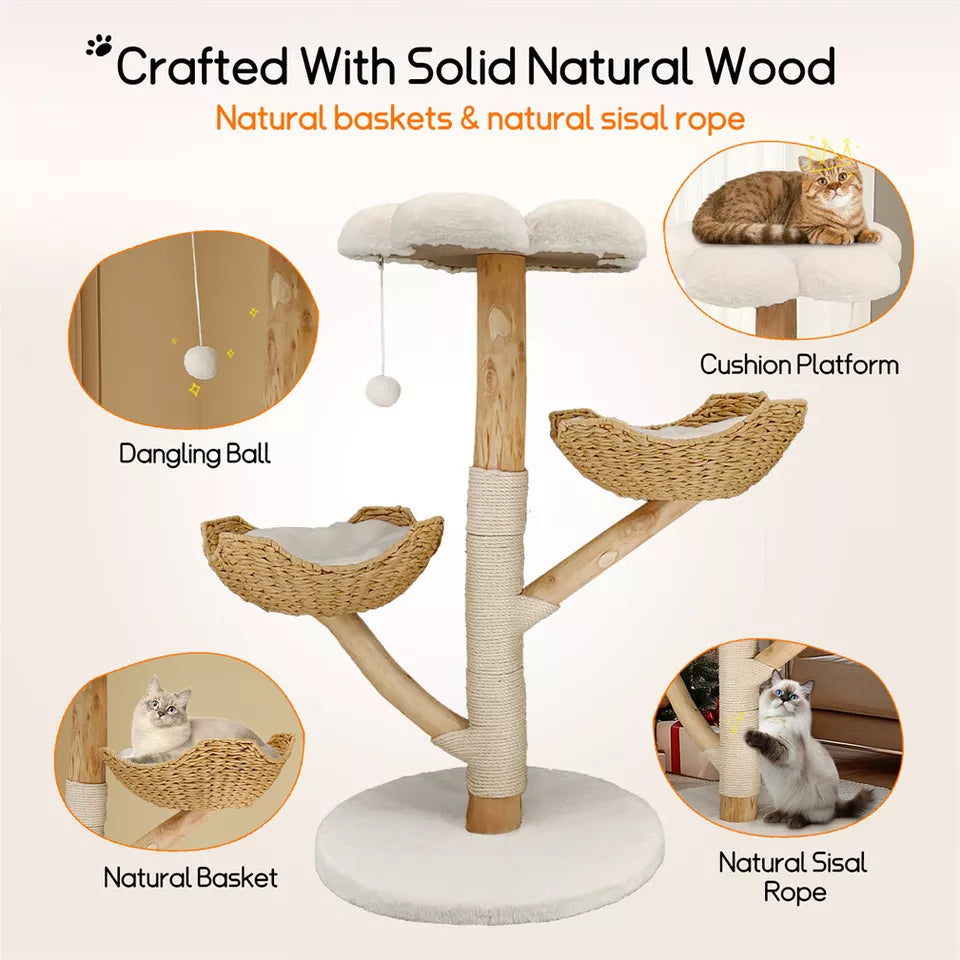 Solid Wood Cat Furniture Australia