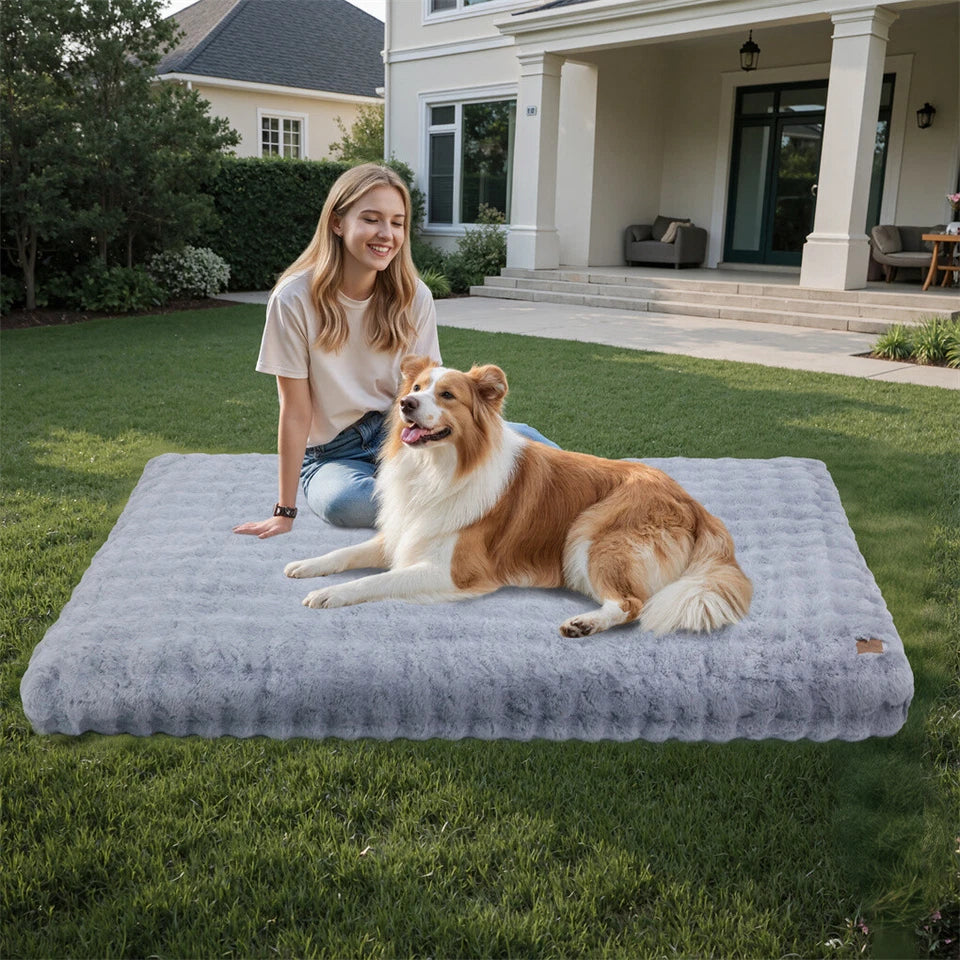 Comfortable Pet Bed with Removable Cover and Anti Skid Base(large)
