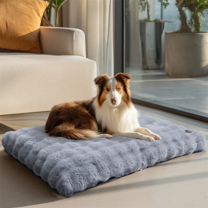 Comfortable Pet Bed with Removable Cover and Anti Skid Base(Medium)